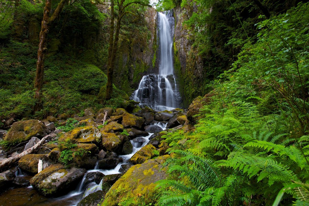 Alan Amati's album, Oregon 2012