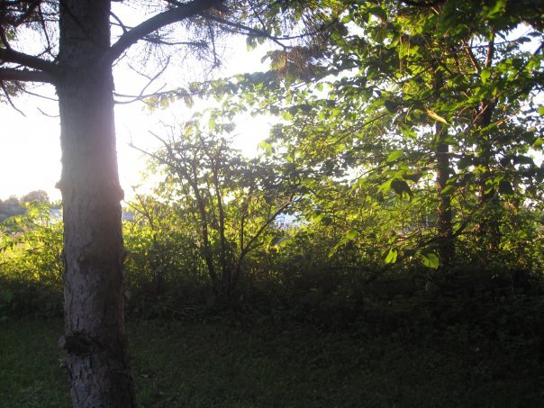 Christopher Pennington's album, Our backyard
