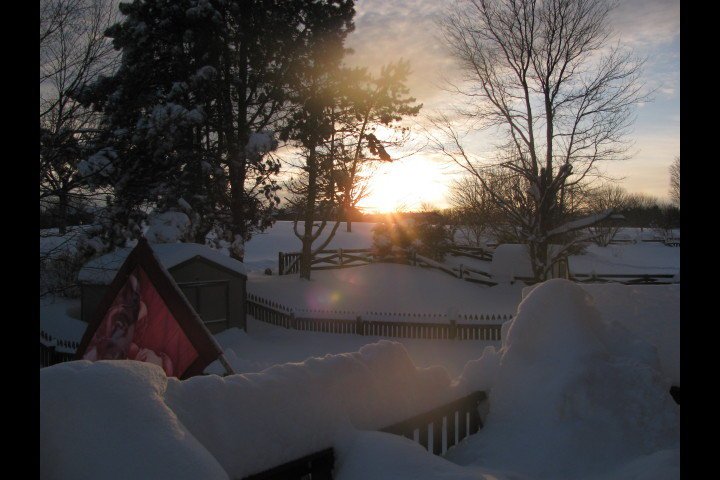 Cindy Command Collins' album, winter 2010