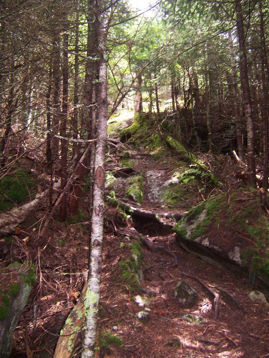Jane Stimson's album, Hiking -summer 2010