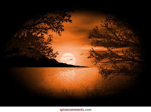 Vicky Anderson's album, Cover Photos