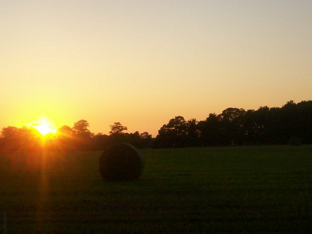Nancy Mesenbrink's album, Cover Photos