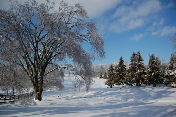 Mike Prather's album, Kentucky Ice Storm 2009