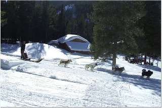 Tracy Keeter's album, SnowMobiling