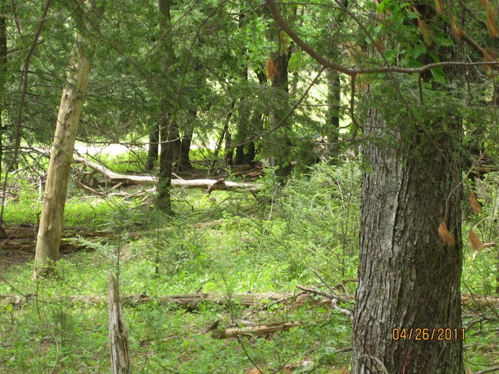 Susan Davis' album, Easter Break 2011