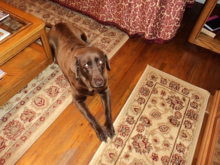 Kathy Houck's album, My Pictures
