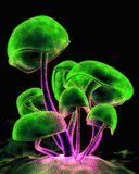 Stuart Wallace's album, Visionary Art Photos