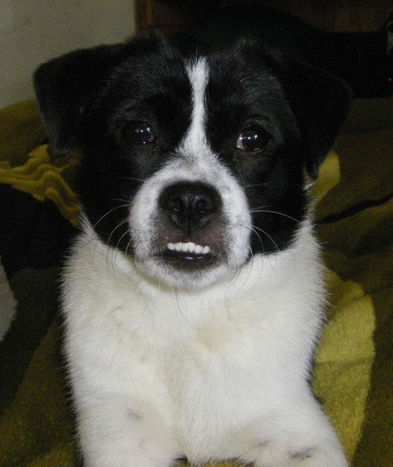 Mark Beckwith's album, Holly - my new baby girl