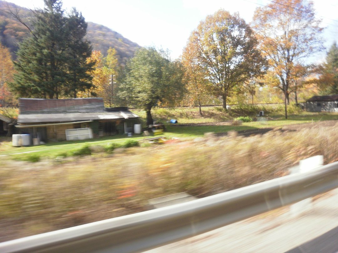 Laura Vickers' album, Potter Fall 2010