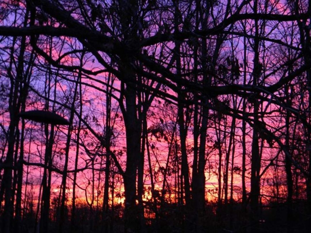 Irene Fink's album, Cover Photos
