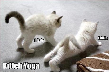 Susan Meyers' album, Timeline Photos