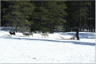 Tracy Keeter's album, SnowMobiling