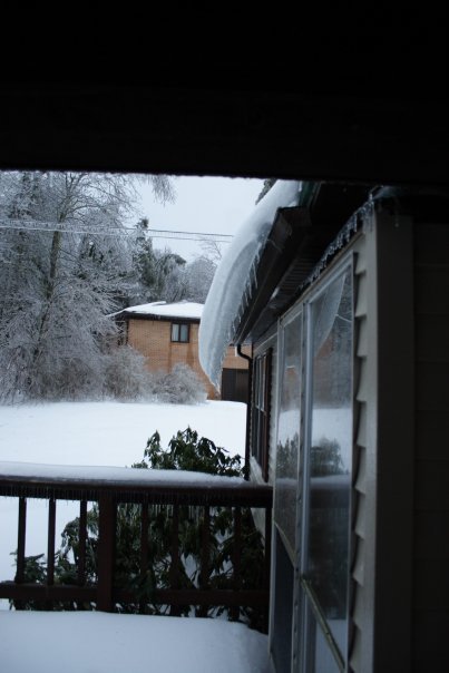 James Wicker's album, Christmas Ice Storm 2009