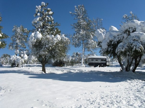 Roger Latimer's album, Snow
