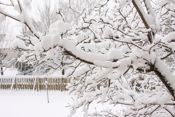 Stacey Smith's album, Weekend Storm 2010