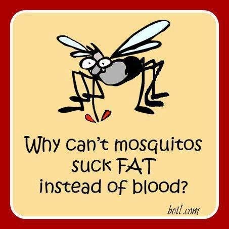 Rick Fulton's album, Timeline Photos