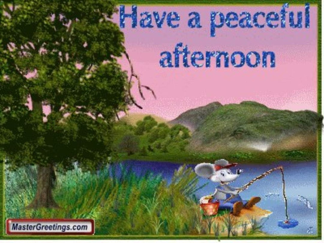 Janet Murray's album, Timeline Photos