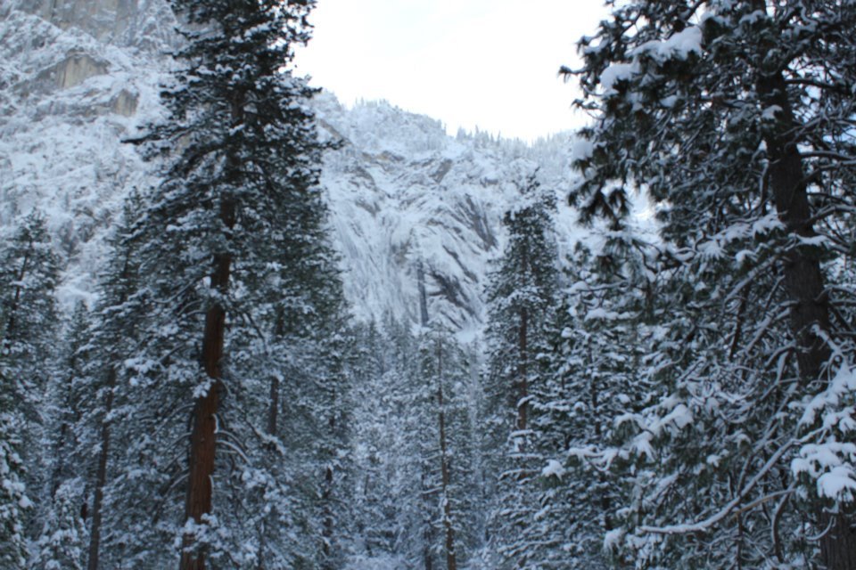 Michael Grider's album, Untitled Album
