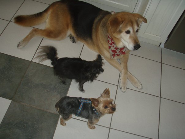 Ray Lessard's album, Ray's pics