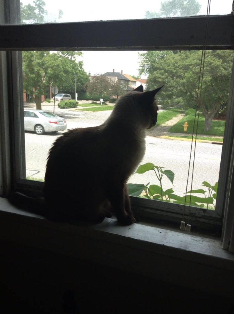 Rick Barber's album, iOS Photos