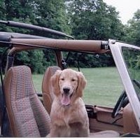 Bryan Maston's album, Profile Pictures