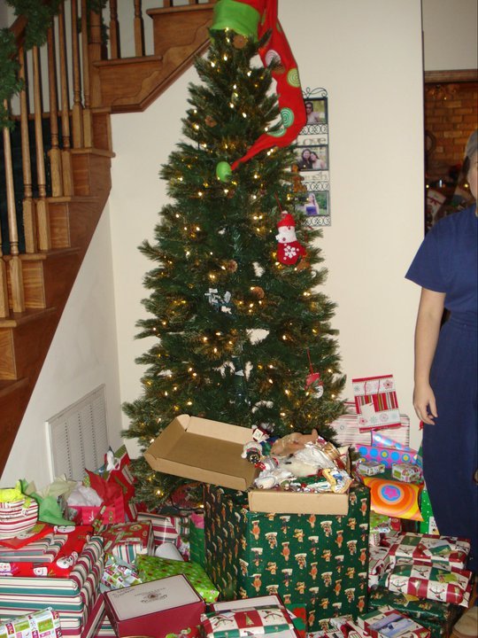 Judy Suarez's album, Christmas 2010