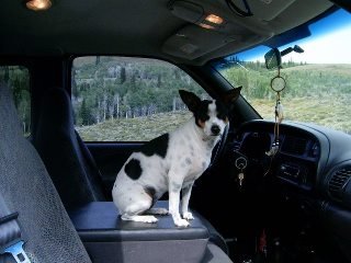 Karen Garrett's album, Birthday camping