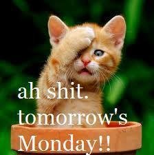Thomas Mizer's album, Timeline Photos