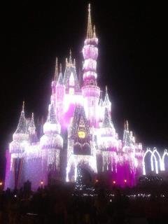 Suzanne Hart's album, Disney w/ the little ones