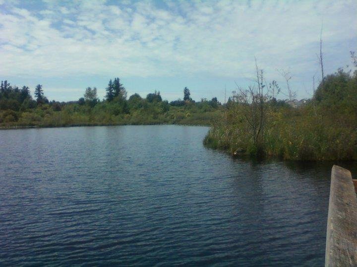 Dwayne Ewy's album, Park Trip June 17, 2011