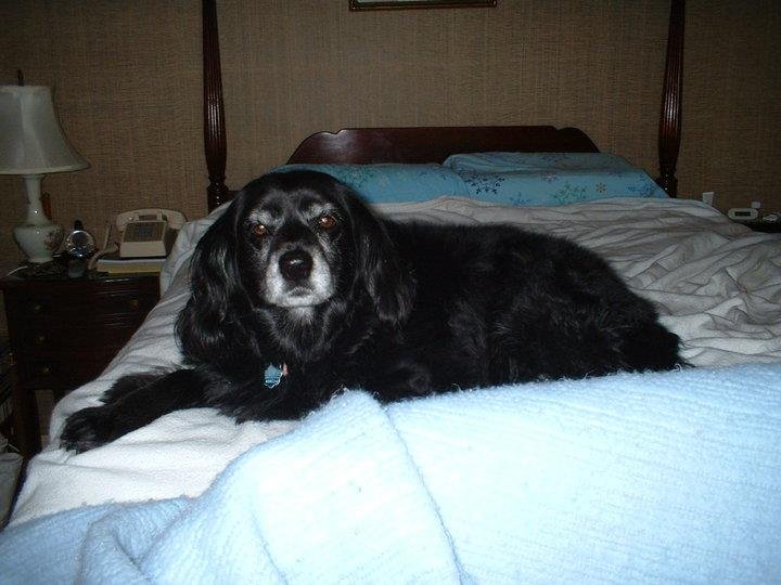 Fran Bagwell's album, Profile Pictures