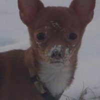 Todd Smith's album, Profile Pictures
