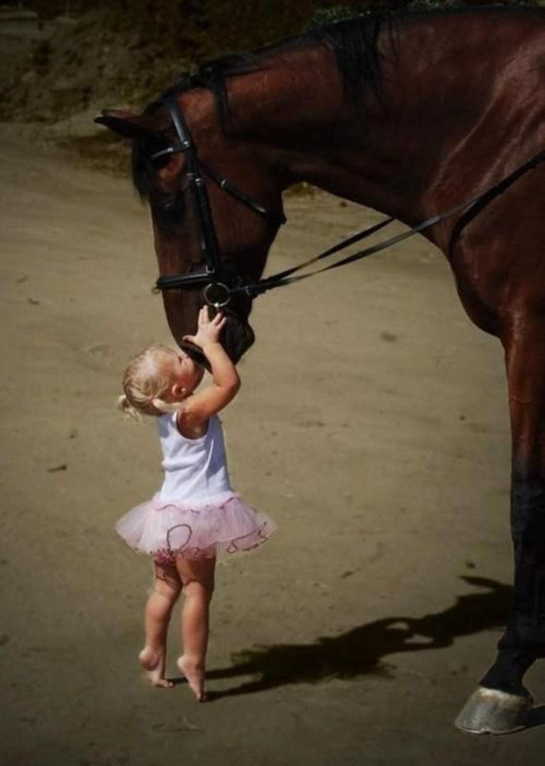 Maria wilson's album, Timeline Photos