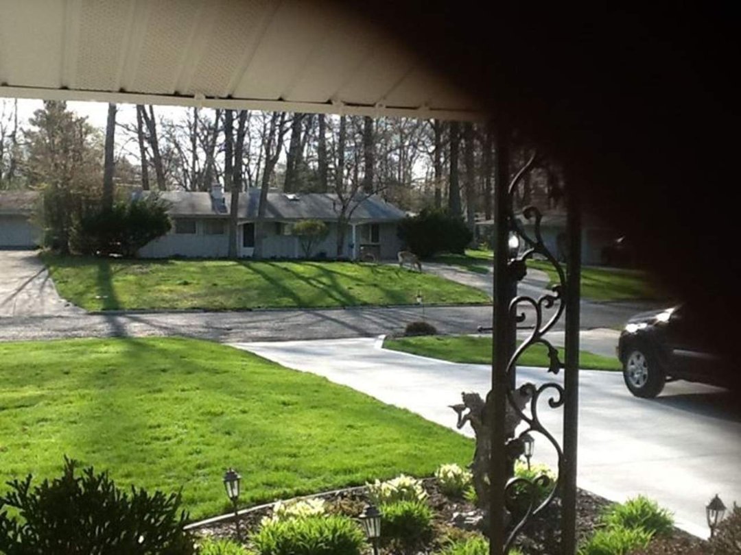Hunter Smith Eichhorn's album, Timeline Photos