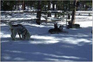 Tracy Keeter's album, SnowMobiling