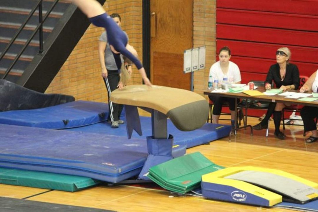 Mike Mann's album, State Gymnastics