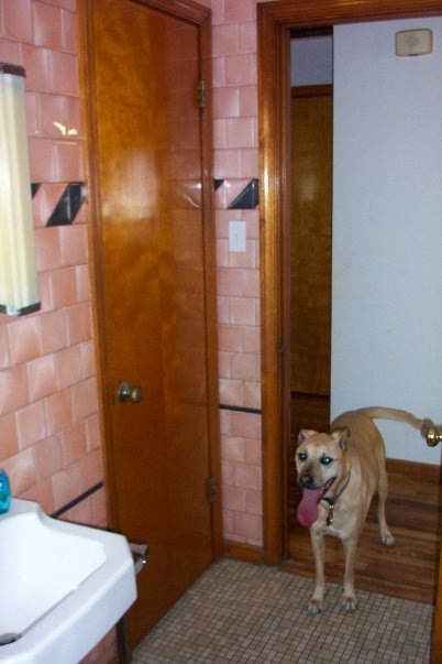William Hartz's album, My Pets