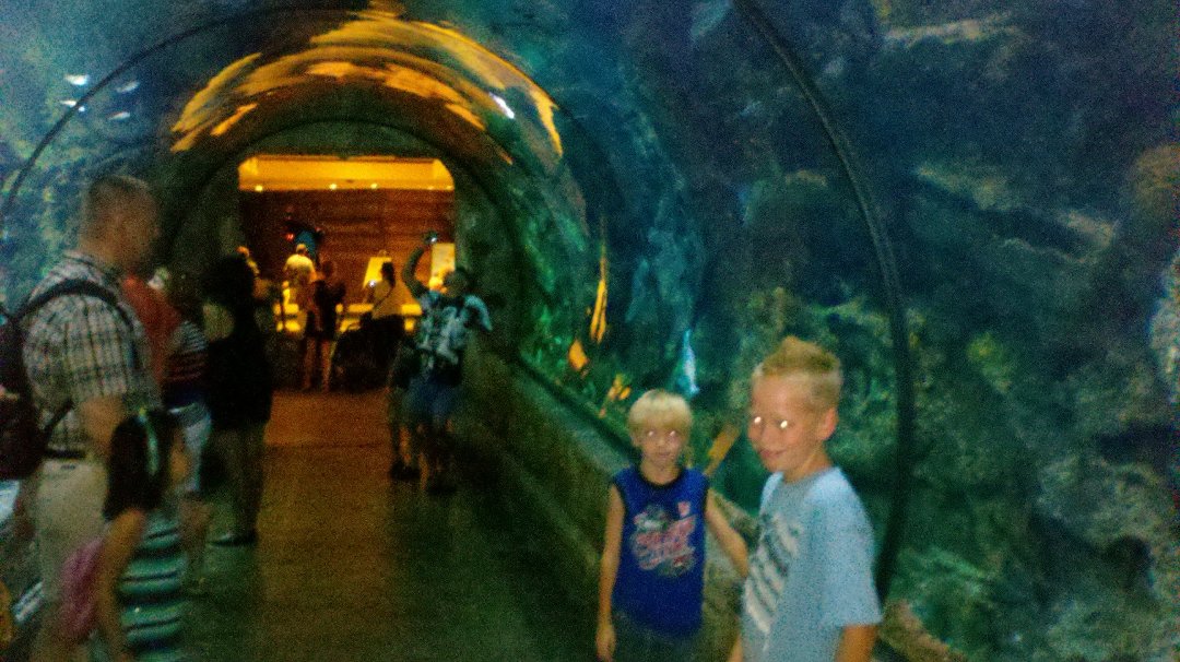 Fran Robbins' album, Shark Reef