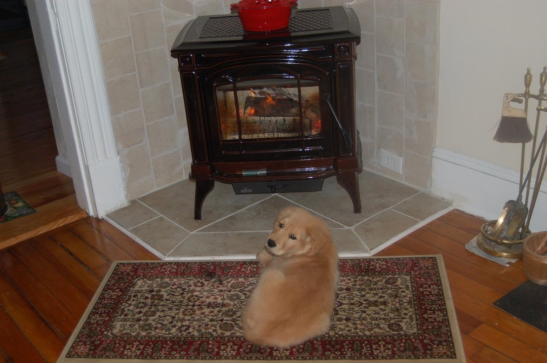 Barbara Greene's album, Baxter