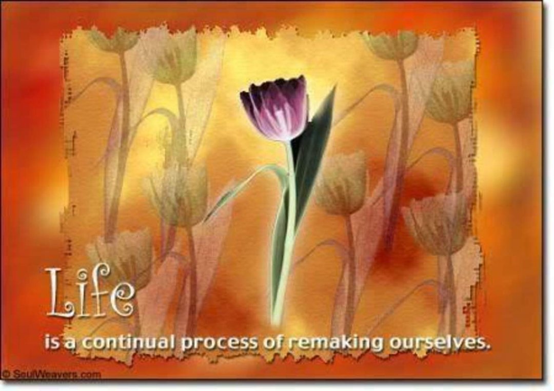 Barbara Hamilton's album, Mobile Uploads