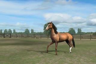 Lacey Techlowicz's album, My Horse Photos