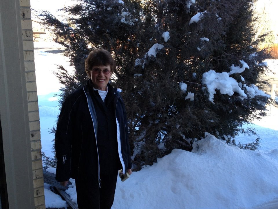 Mark Brown's album, Mobile Uploads