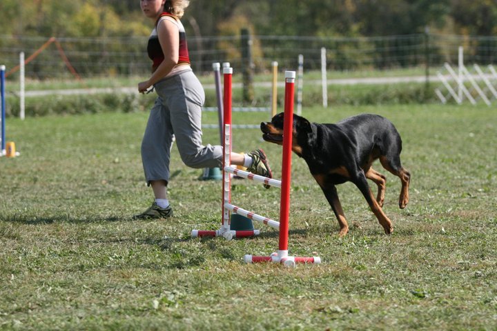 Heather Cotterman's album, In Memory of Woody "Buckeye's Bounding Glory