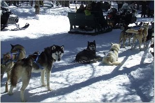 Tracy Keeter's album, SnowMobiling