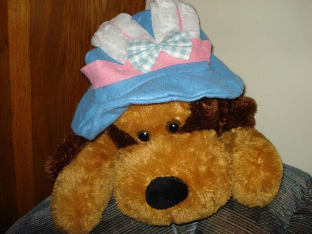 Diane Meyer's album, Profile Pictures