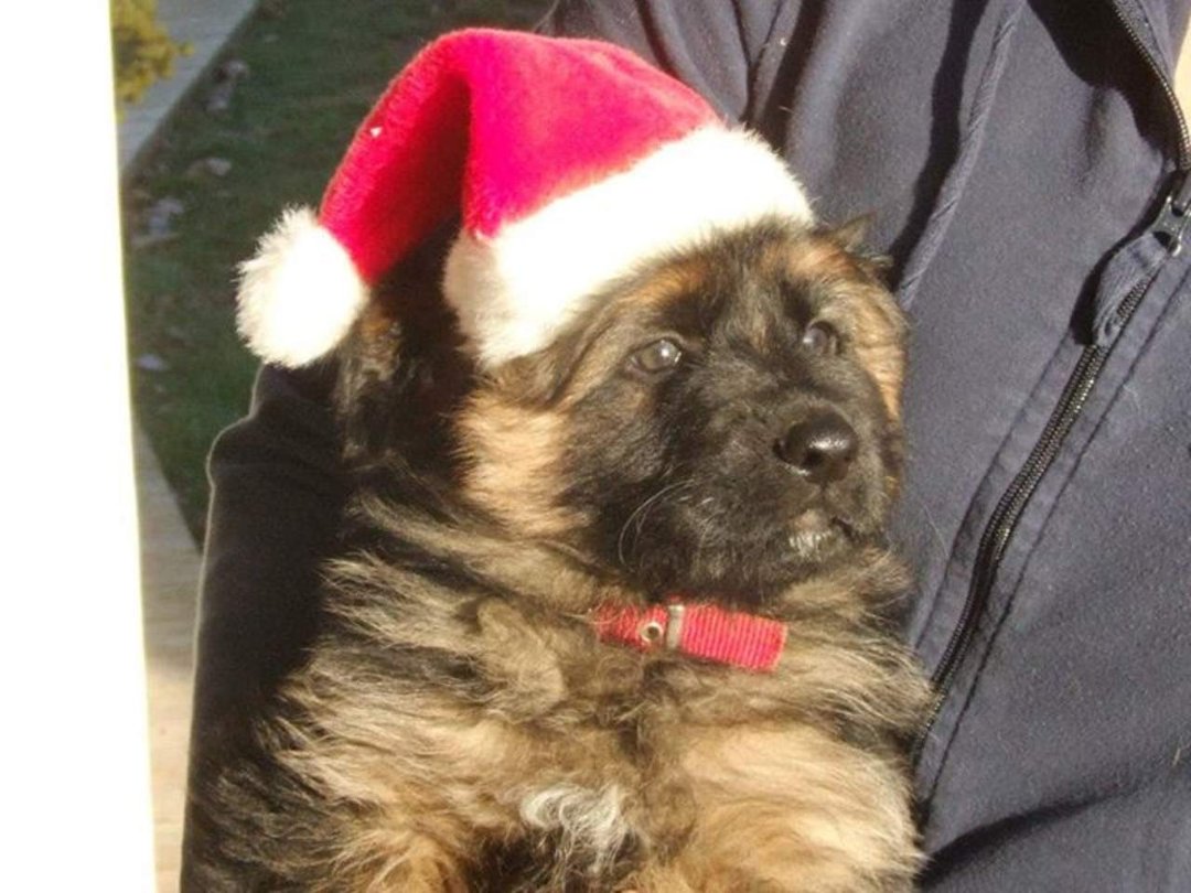 Peggy Walicki's album, December 11, 2011
