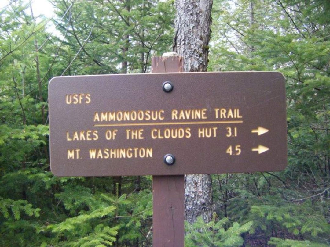 Timothy Brown's album, Mt. Monroe Hike