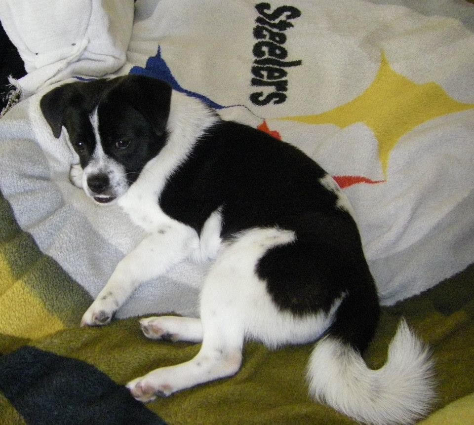 Mark Beckwith's album, Holly - my new baby girl