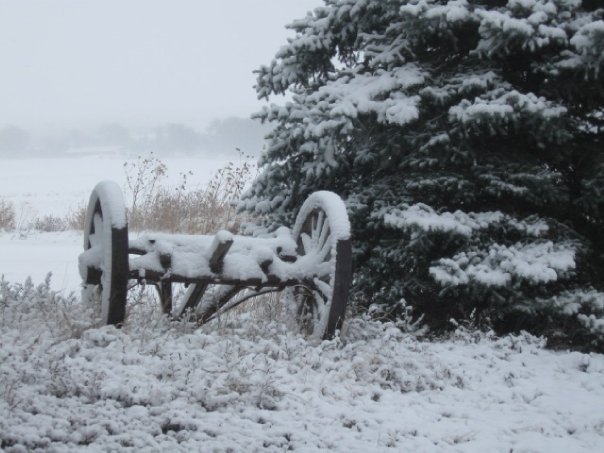 Ryan Chaney's album, Snow