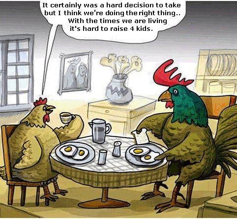 Tom Bell's album, Timeline Photos
